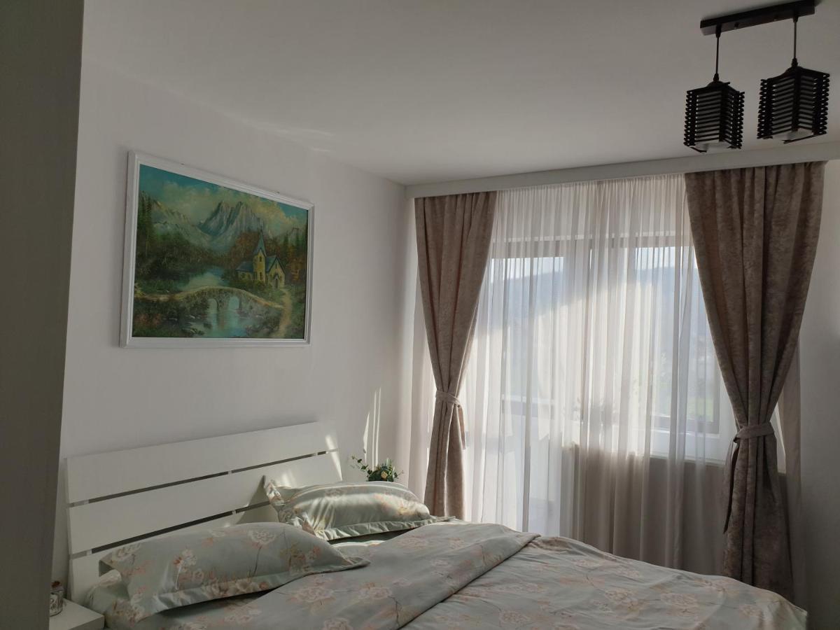 Casa Tomsa Bed & Breakfast Rozavlea Екстериор снимка
