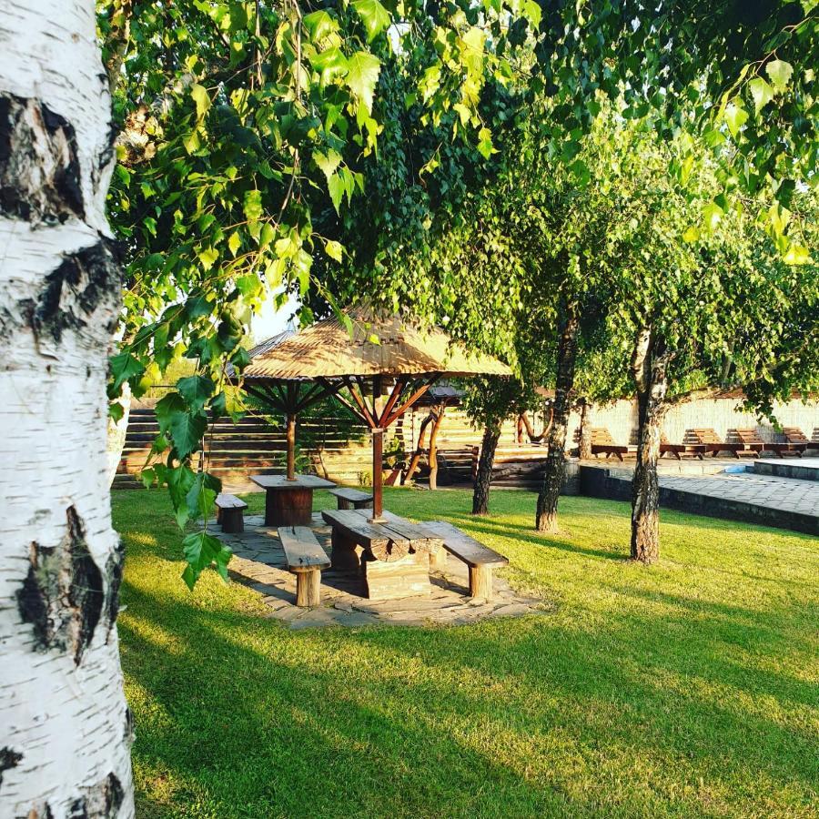 Casa Tomsa Bed & Breakfast Rozavlea Екстериор снимка