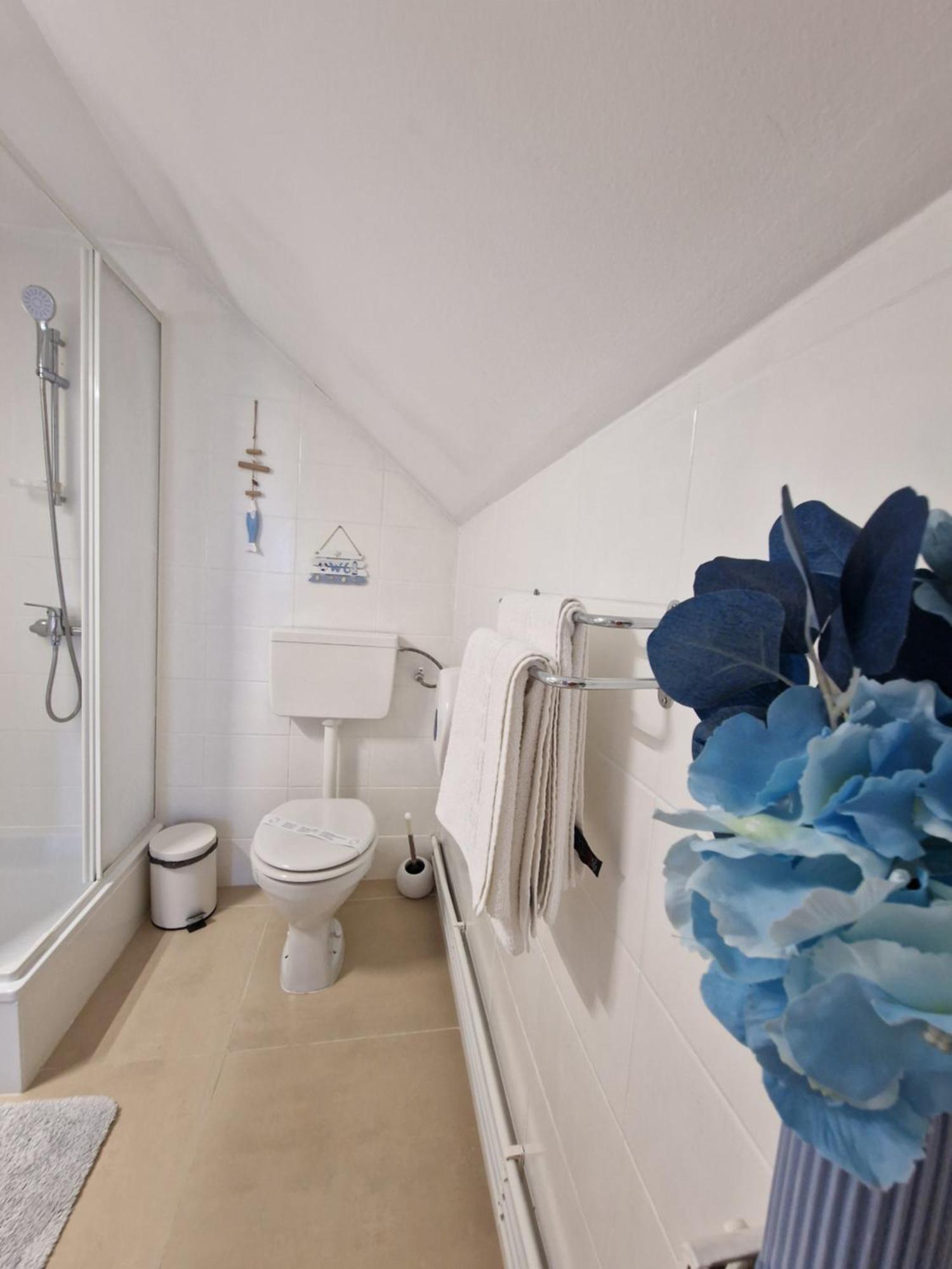 Casa Tomsa Bed & Breakfast Rozavlea Екстериор снимка