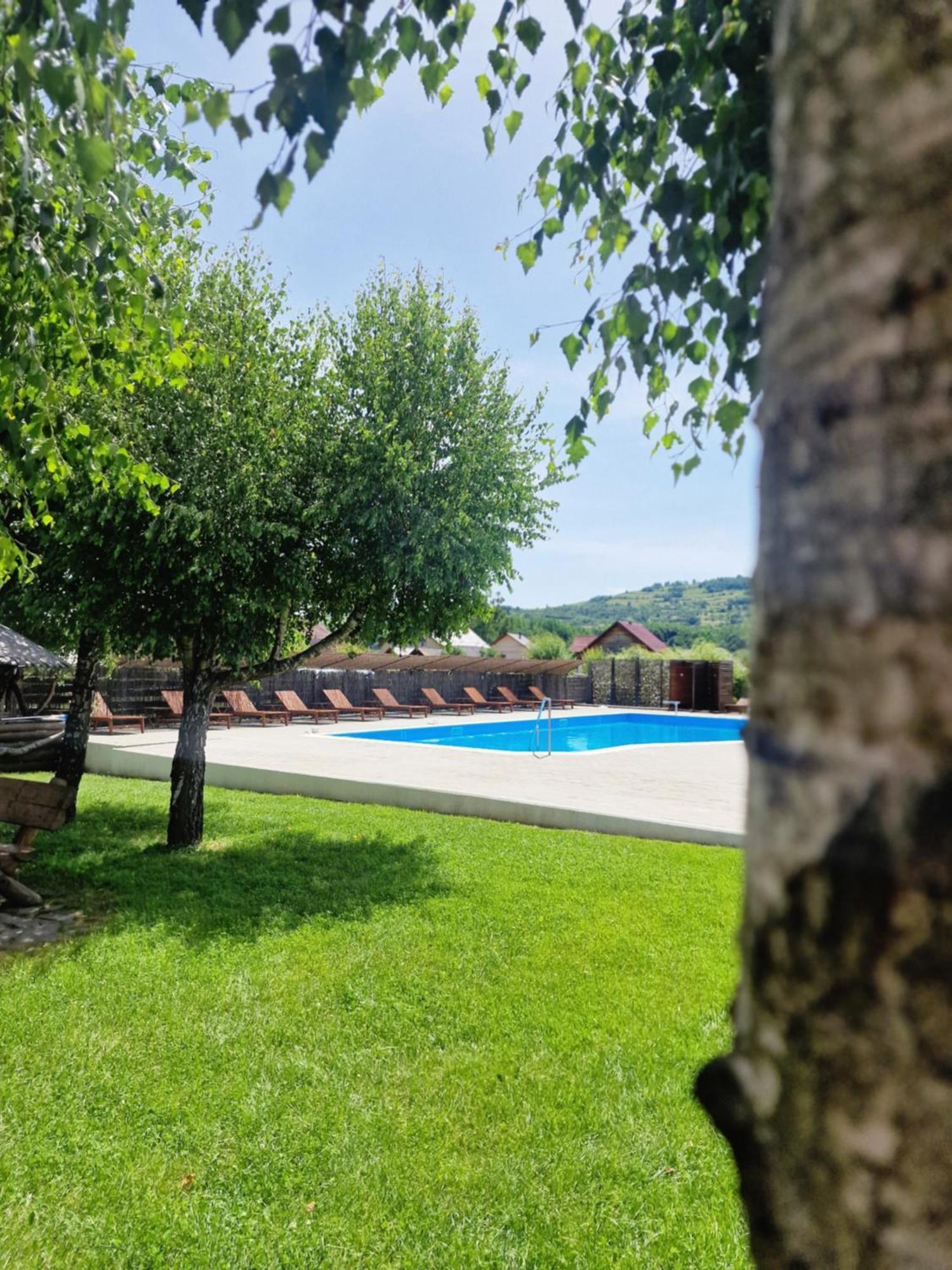 Casa Tomsa Bed & Breakfast Rozavlea Екстериор снимка